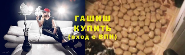 ECSTASY Богородицк
