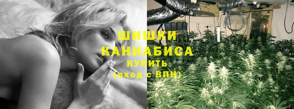 ECSTASY Богородицк