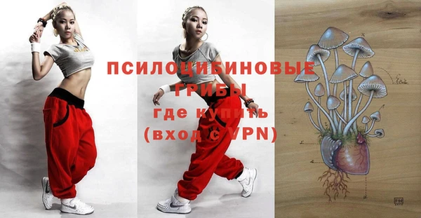 прущие грибы Беломорск