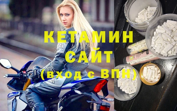 прущие грибы Беломорск