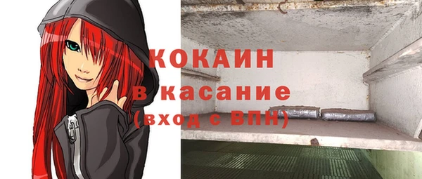 ECSTASY Богородицк