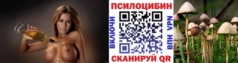 OMG купить Мезень Псилоцибиновые грибы GOLDEN TEACHER